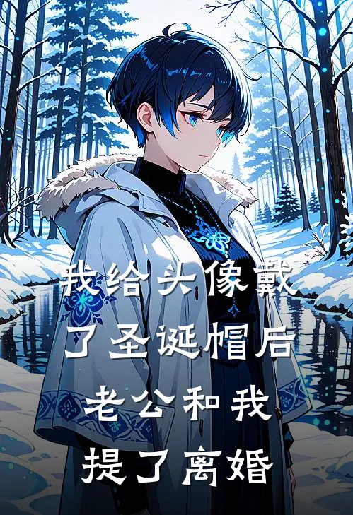 我给头像戴了圣诞帽后，老公和我提了离婚